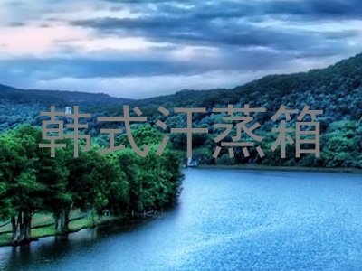 韩式汗蒸箱