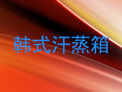 韩式汗蒸箱