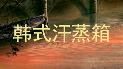 韩式汗蒸箱