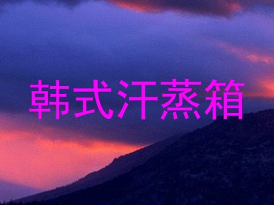 韩式汗蒸箱