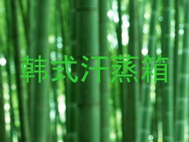 韩式汗蒸箱