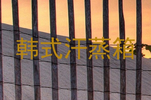 韩式汗蒸箱