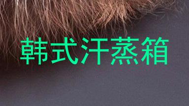 韩式汗蒸箱