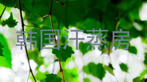 韩国汗蒸房