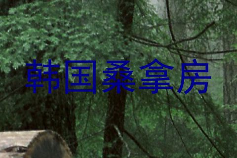 韩国桑拿房