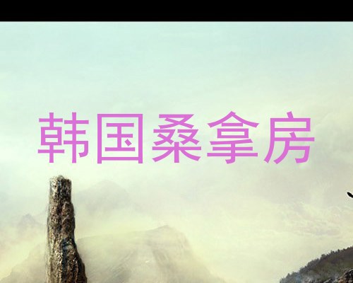 韩国桑拿房