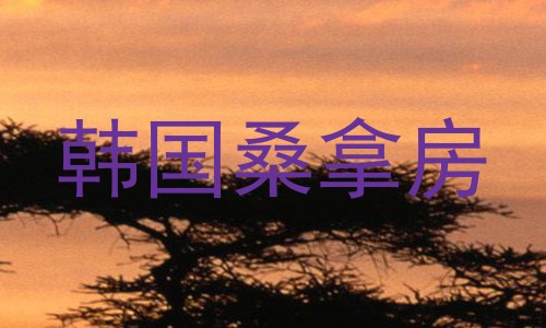 韩国桑拿房