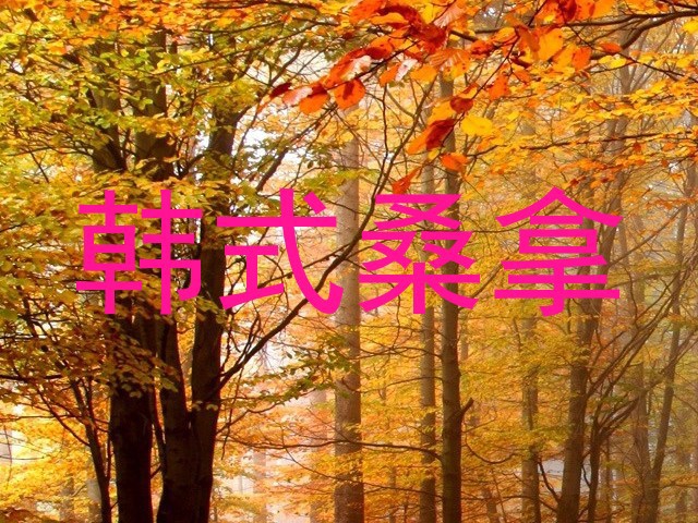 韩式桑拿