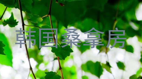 韩国桑拿房