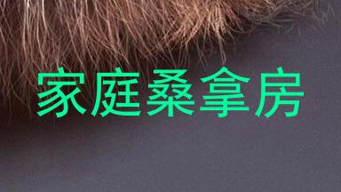 家庭桑拿房
