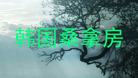 韩国桑拿房