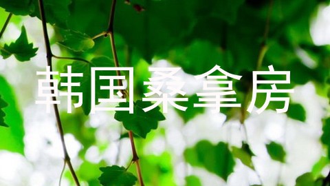 韩国桑拿房