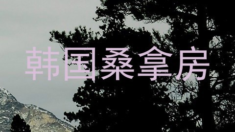 韩国桑拿房