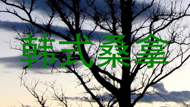 韩式桑拿