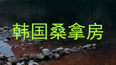 韩国桑拿房