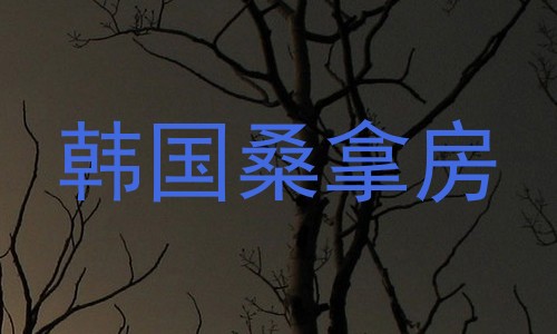 韩国桑拿房