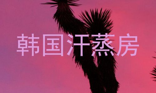 韩国汗蒸房