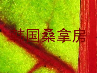 韩国桑拿房