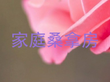 家庭桑拿房