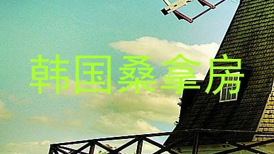 韩国桑拿房