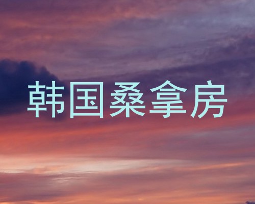 韩国桑拿房