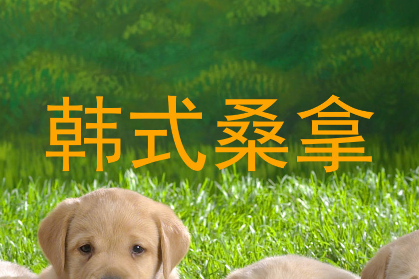 韩式桑拿