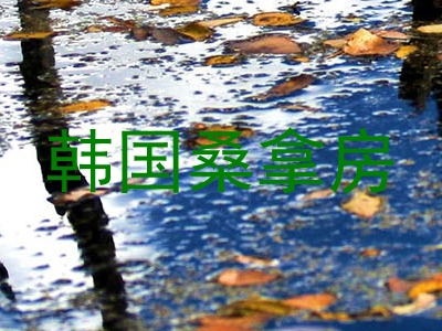 韩国桑拿房