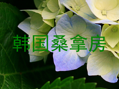 韩国桑拿房