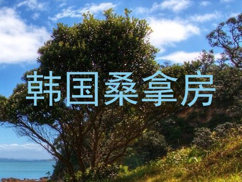 韩国桑拿房