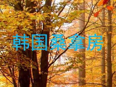 韩国桑拿房