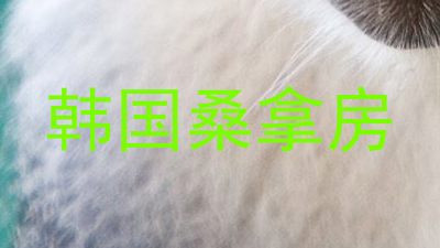 韩国桑拿房