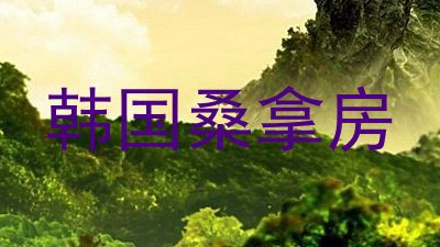 韩国桑拿房