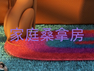 家庭桑拿房