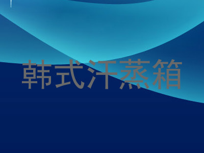 韩式汗蒸箱