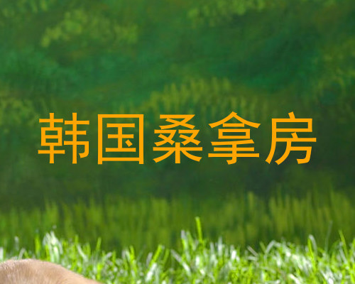 韩国桑拿房