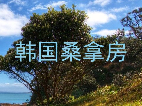 韩国桑拿房
