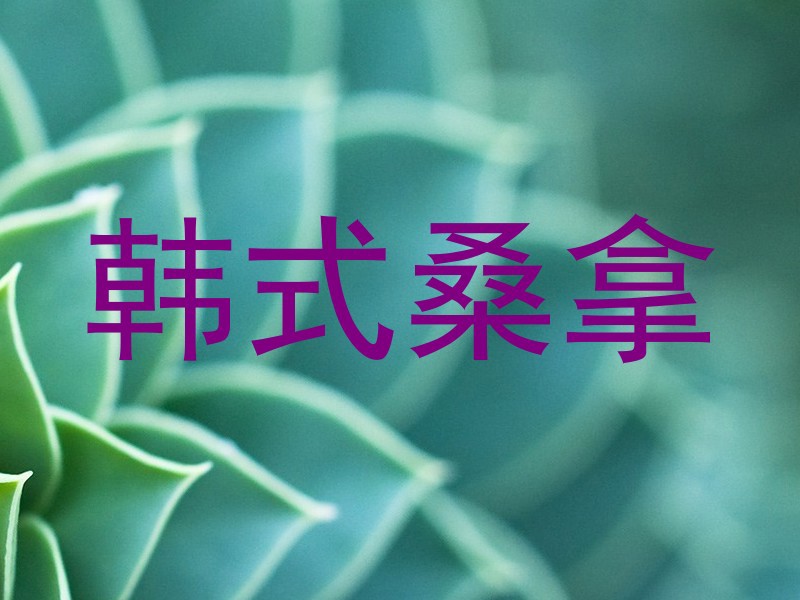 韩式桑拿