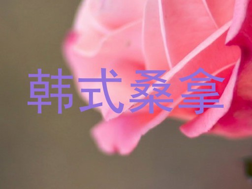 韩式桑拿