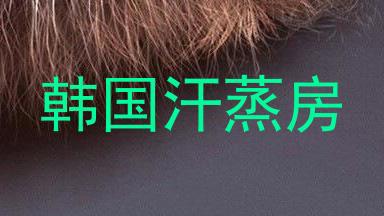 韩国汗蒸房