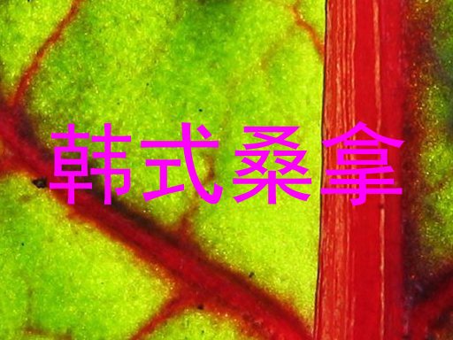 韩式桑拿