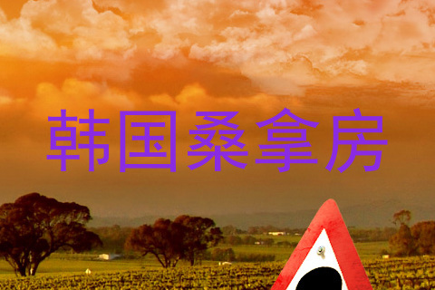 韩国桑拿房