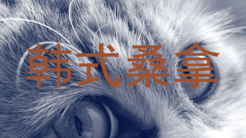 韩式桑拿