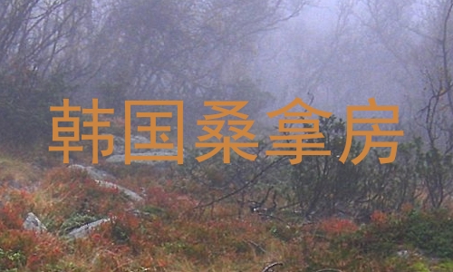 韩国桑拿房