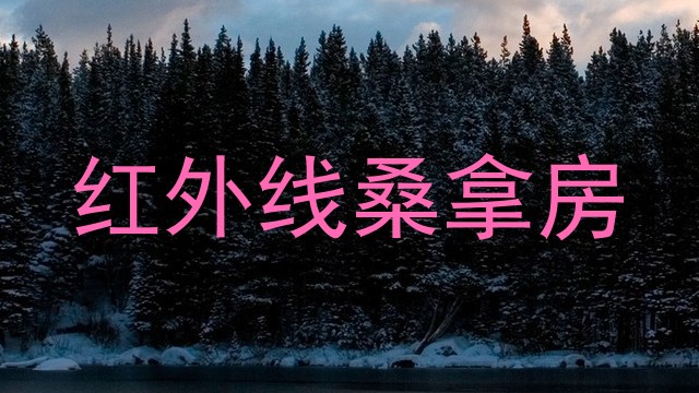 红外线桑拿房