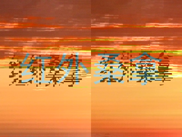 红外桑拿