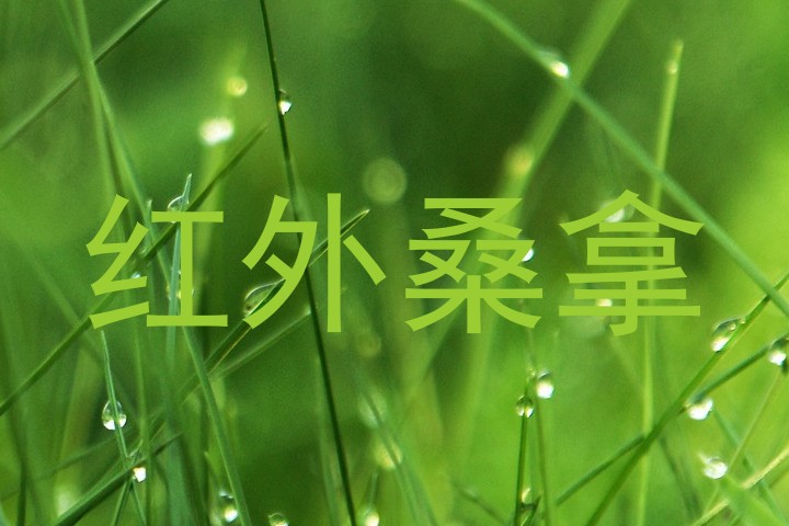 红外桑拿