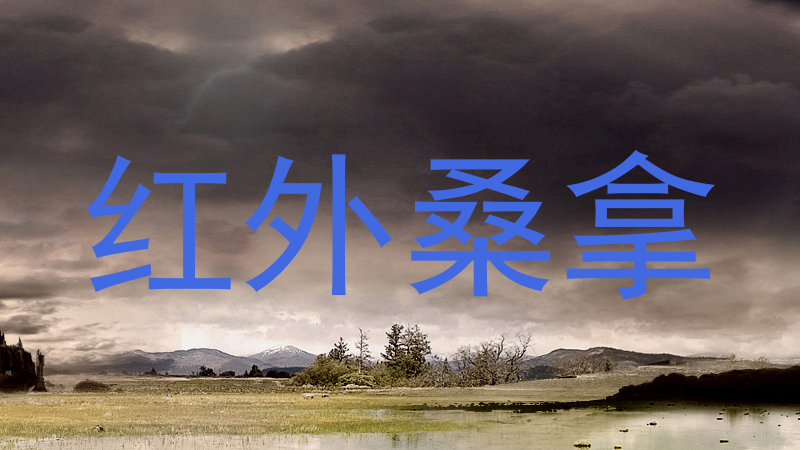红外桑拿