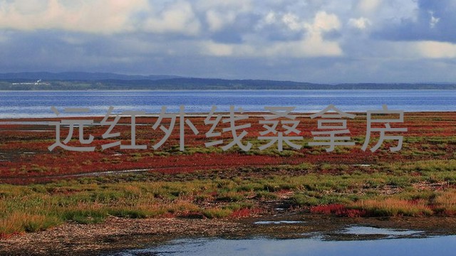 远红外线桑拿房