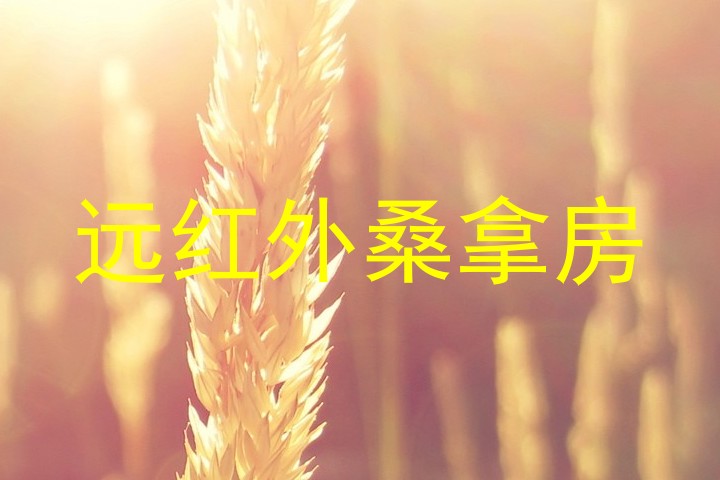 远红外桑拿房