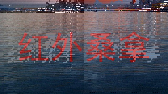 红外桑拿